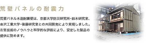 �r�ǃp�l���̑ϐk��