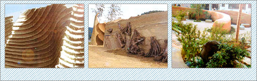 ���j�������g�ʐ^